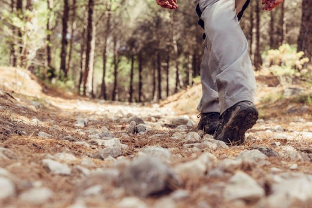 Marche à pieds forêt