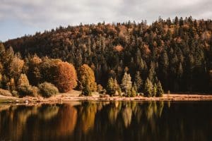 Lac avec reflet de forêt automnale